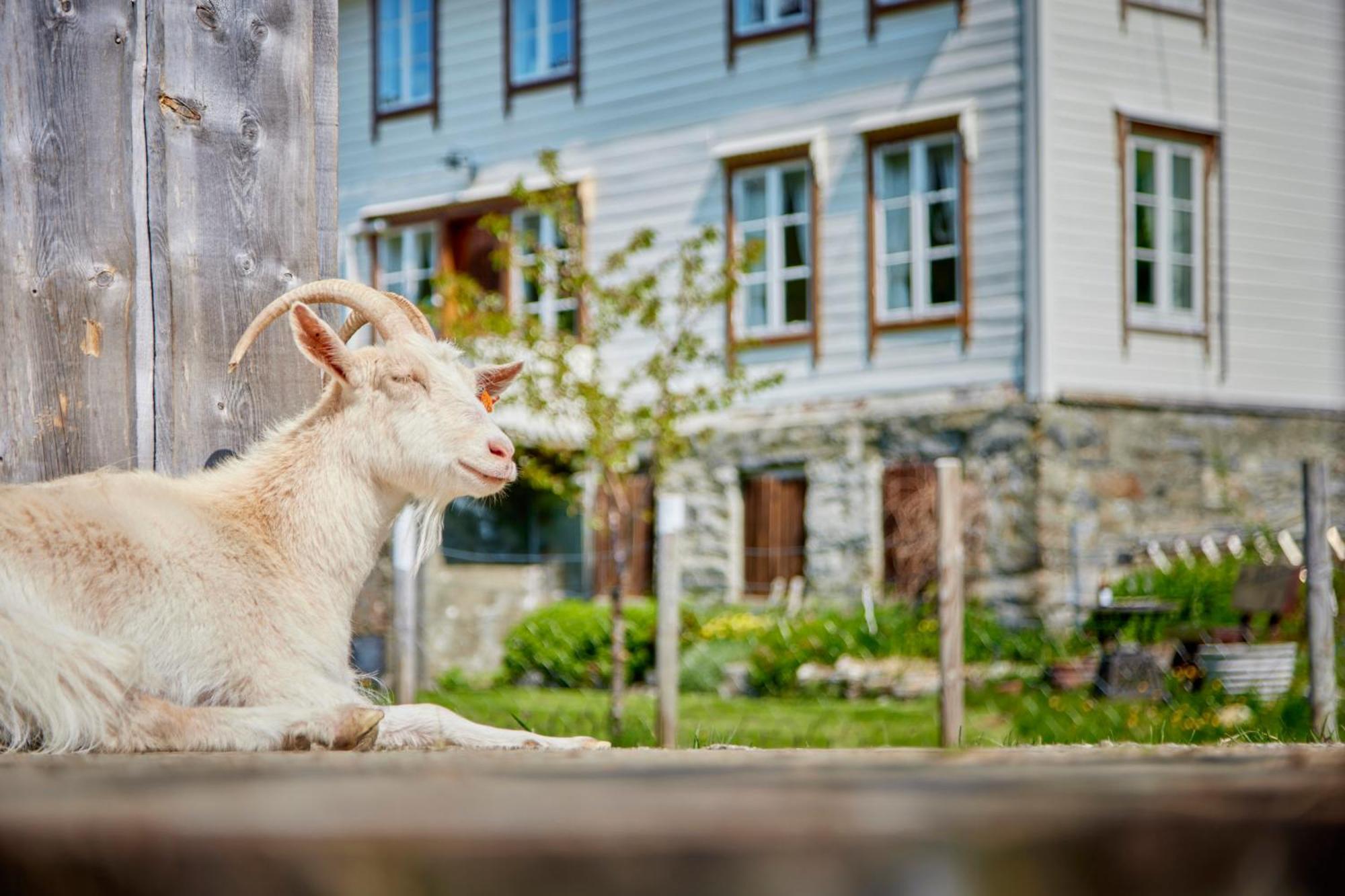 Overvoll Farm Странда Екстер'єр фото